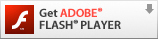 Download Flash Player